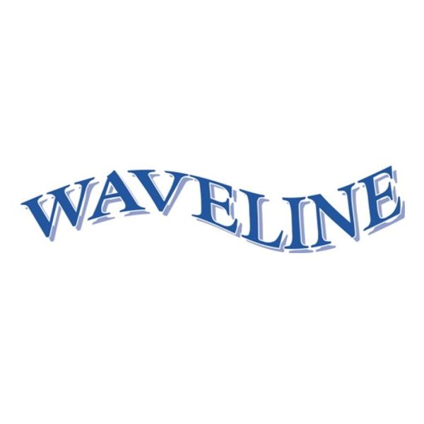Waveline Pontoon ladder SSI316 2 step 245MM crook