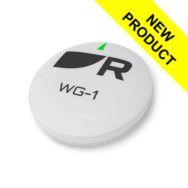 Raymarine WG-1 Wireless Gateway