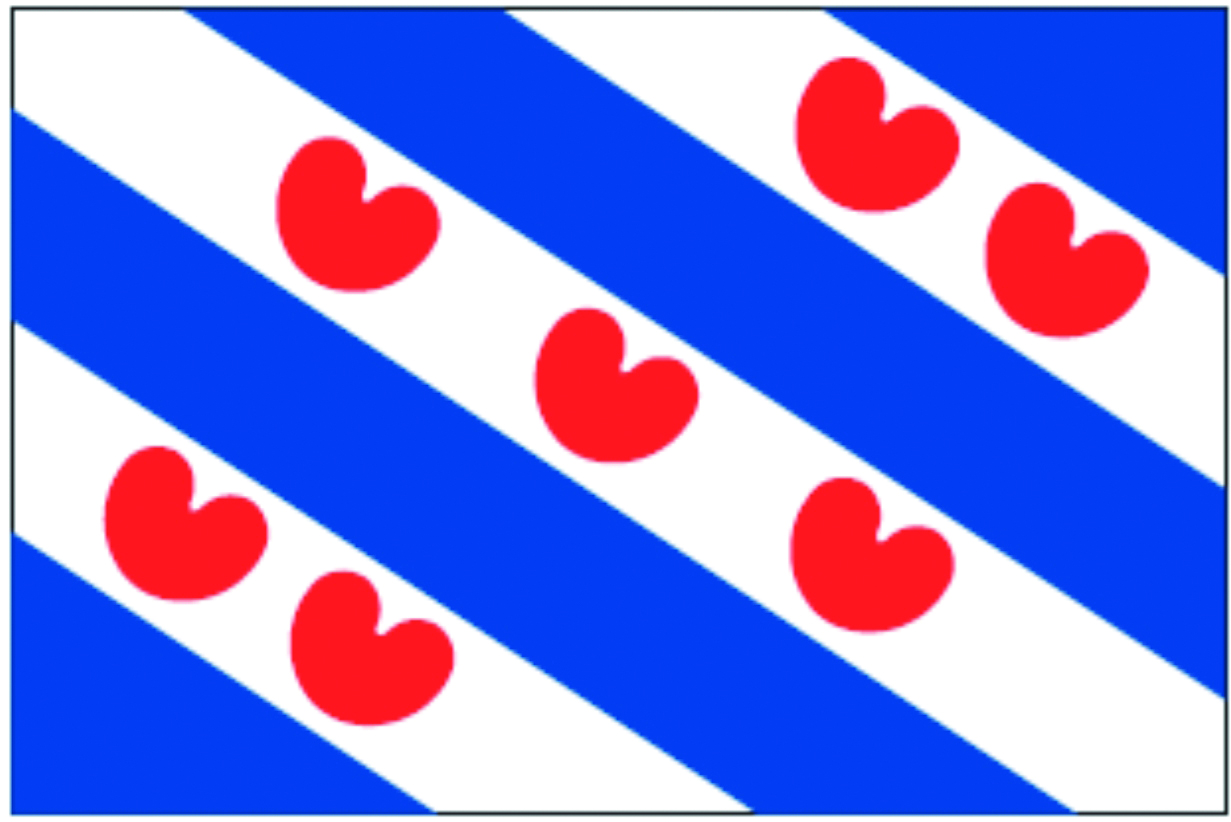 Talamex Frisian Flag 40X60