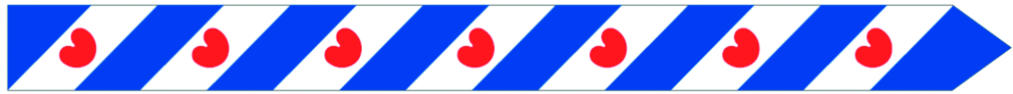 Talamex Frisian Streamer 400 CM