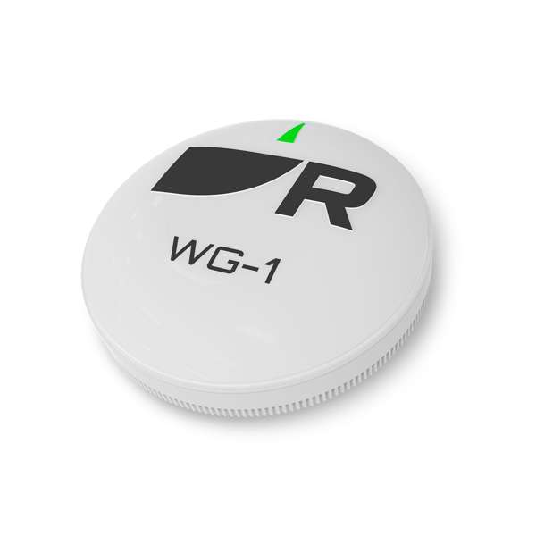 Raymarine WG-1 Wireless Gateway