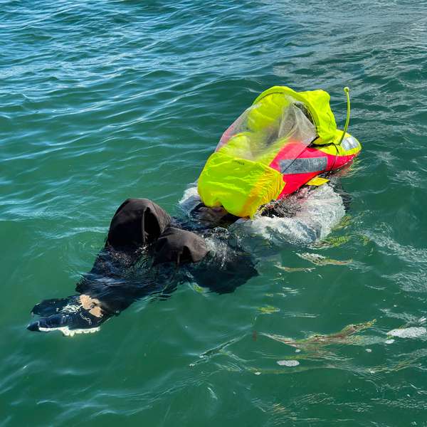Spinlock Deckvest VITO 170N With AFS (Advanced Floatation System) & HRS - Image 5
