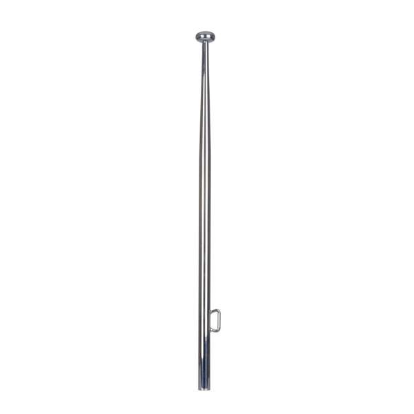"Talamex Flagpole Aisi 316